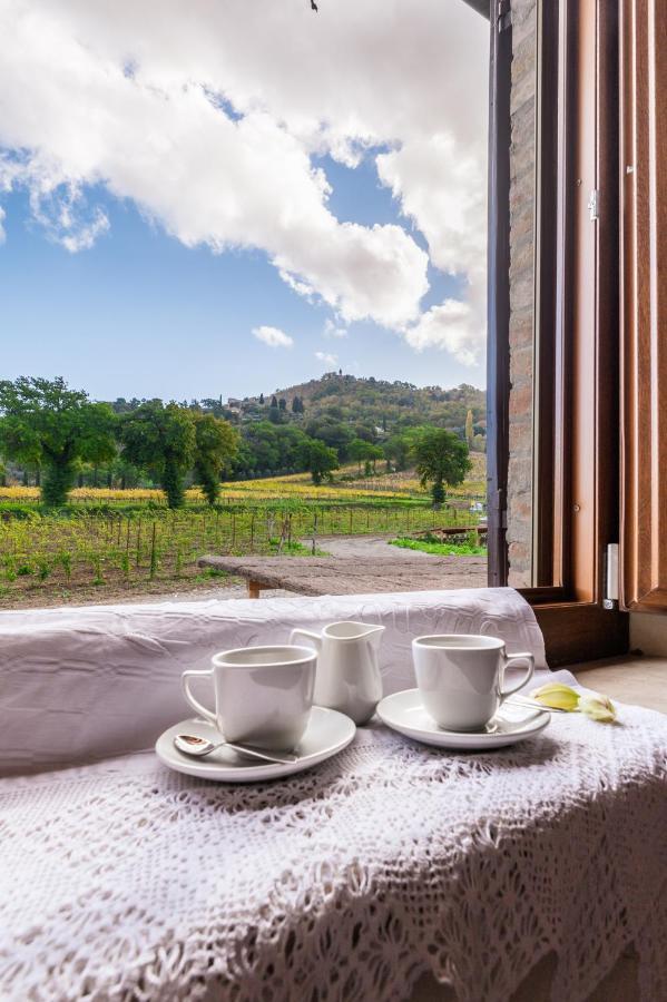Wine Estate Rooms Paradiso Di Cacuci Montalcino Dış mekan fotoğraf