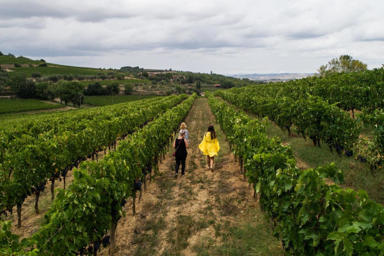 Wine Estate Rooms Paradiso Di Cacuci Montalcino Dış mekan fotoğraf